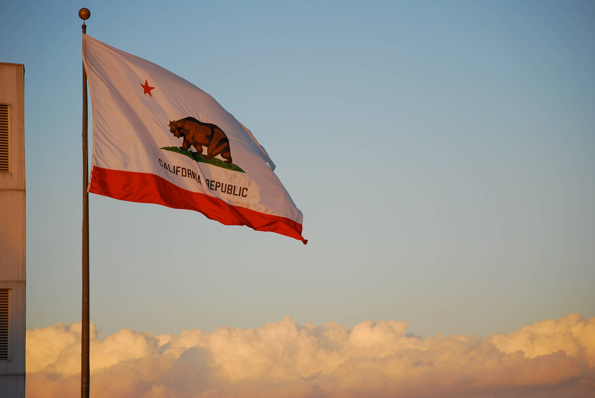 Raised Californian Flag Picture