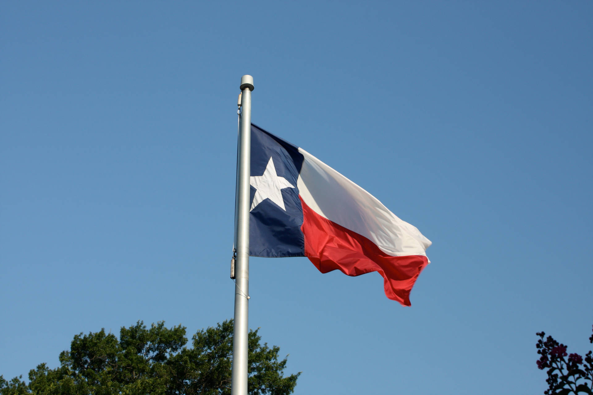 Raised Texas Flag Picture