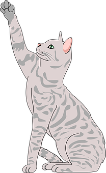 Raising Paw Gray Tabby Cat Illustration PNG