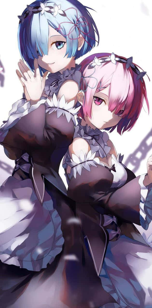 The Courageous Adventures Of Ram And Rem Wallpaper