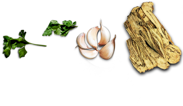 Ramen Ingredients Parsley Garlic Ginger PNG