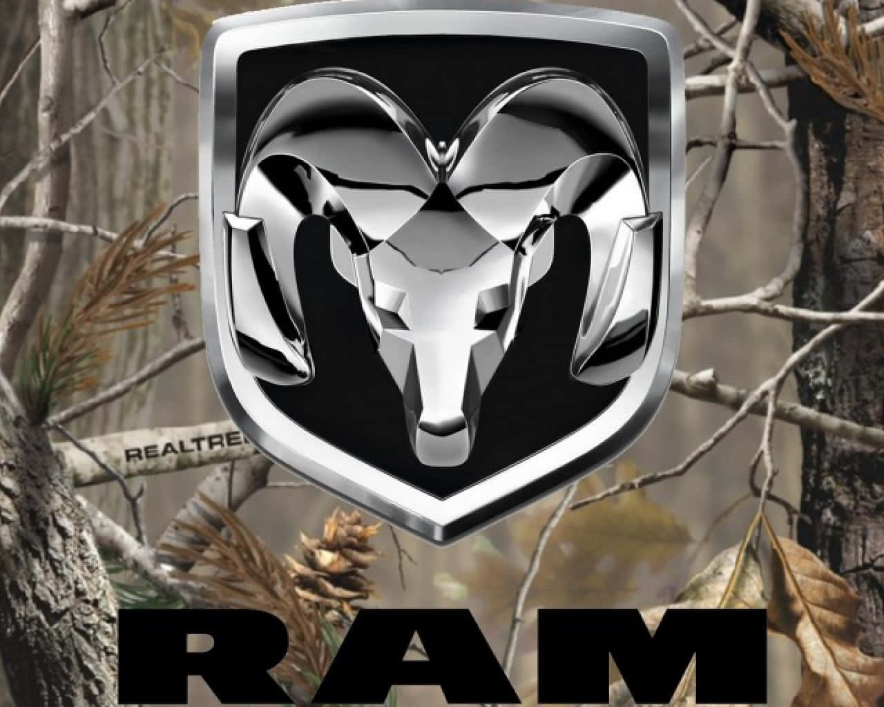 Rams1280 X 1024 Hintergrund