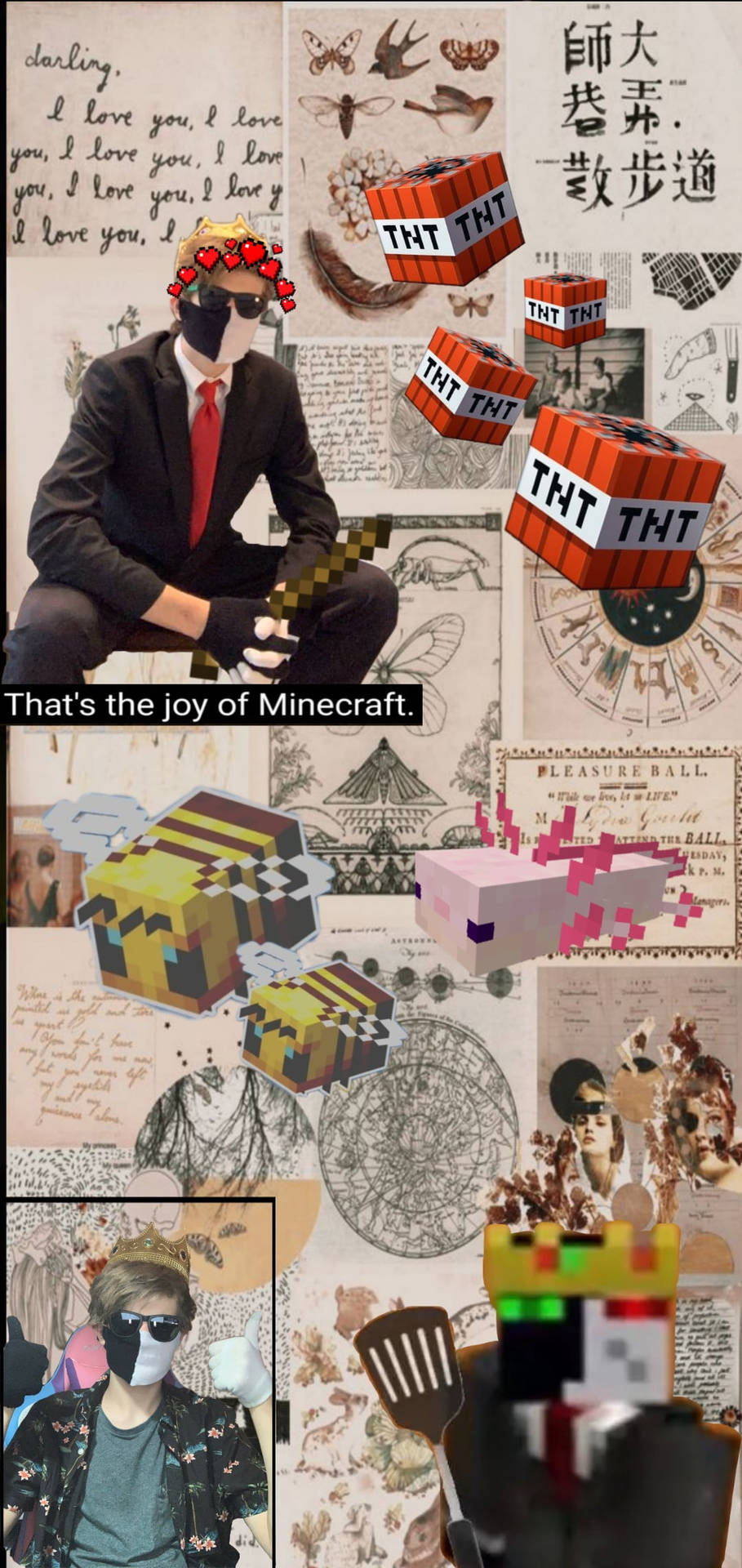 Ranboo Dsmp Minecraft Collage