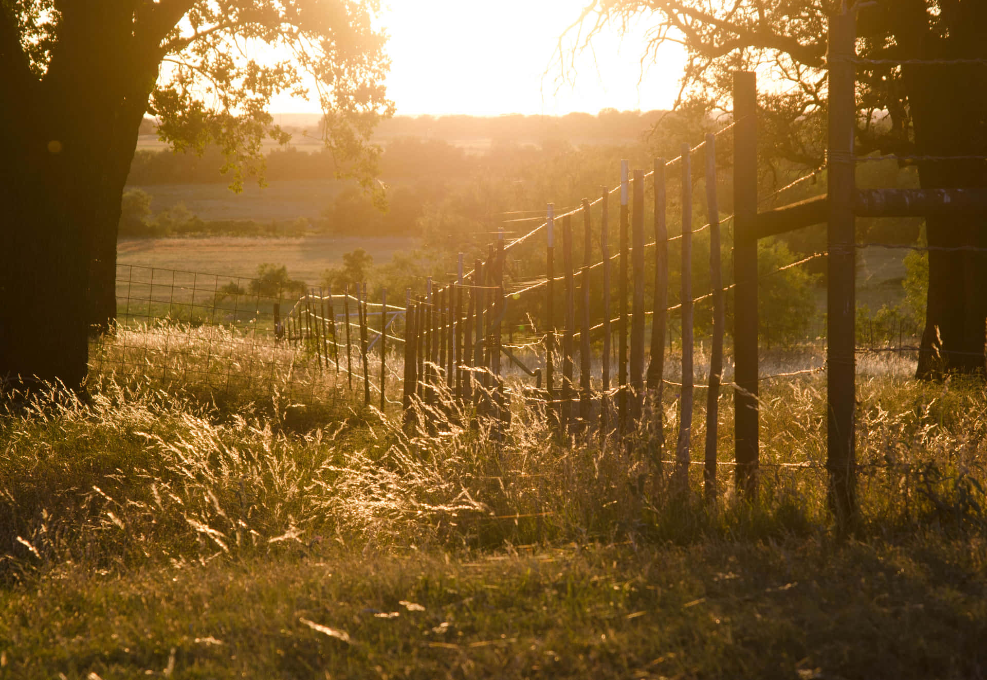 A Fence In The Field Wallpaper