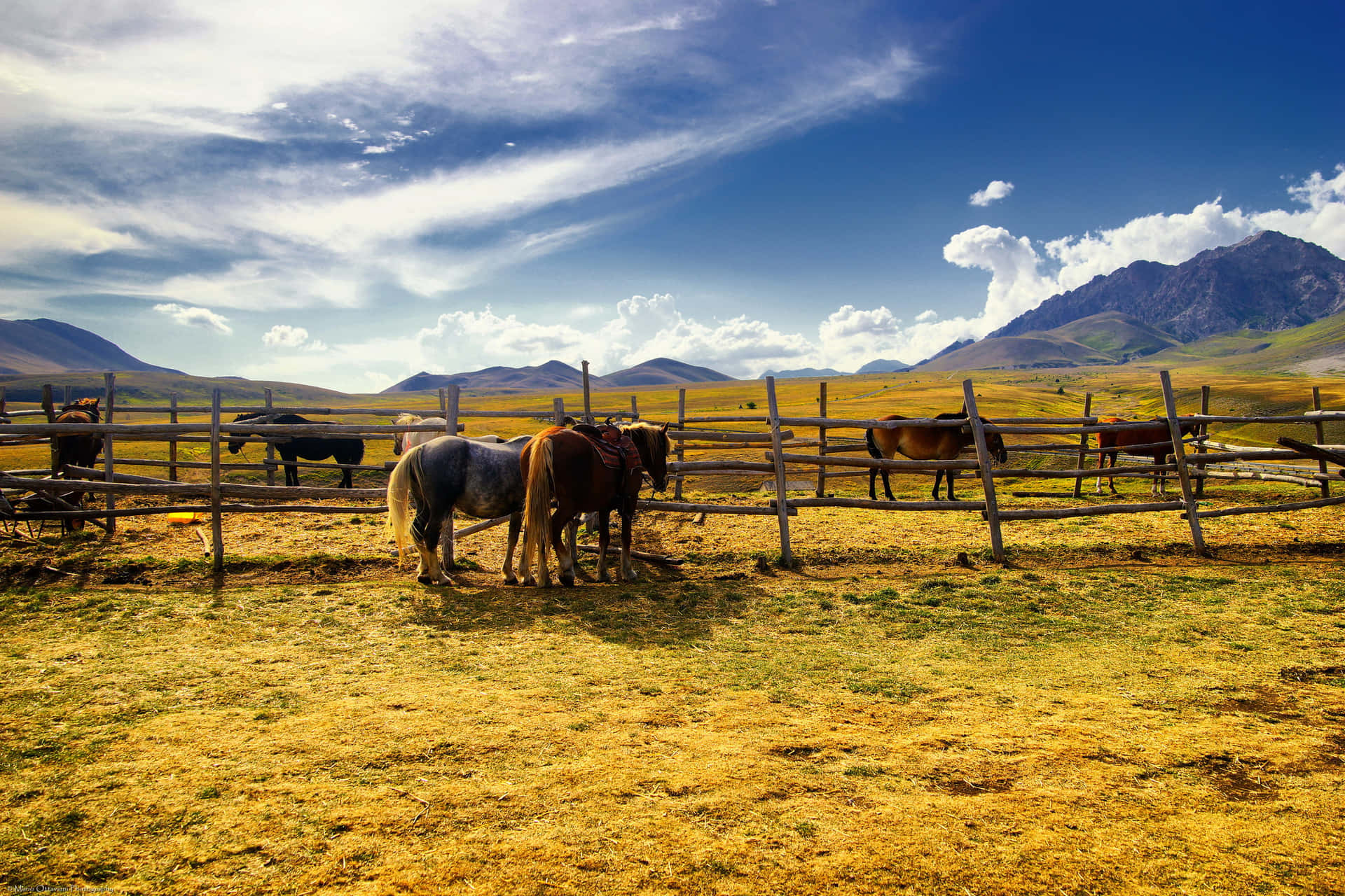 Oplev glæderne ved ranch-livet med rigdom og enkelhed. Wallpaper