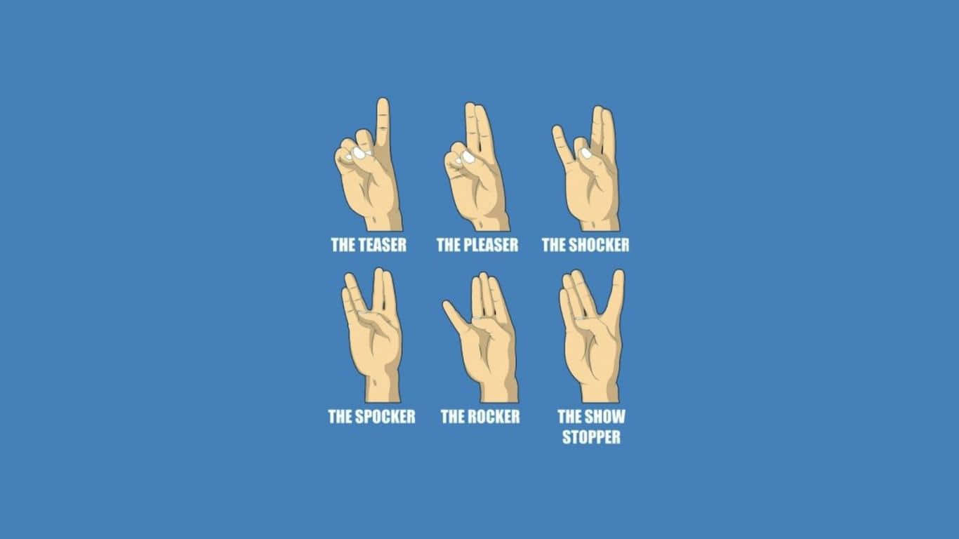 The Four Fingers Of The Octopus