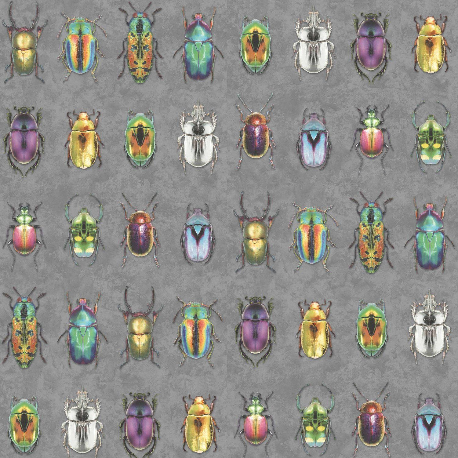 Insectosde Escarabajos Aleatorios Fondo de pantalla