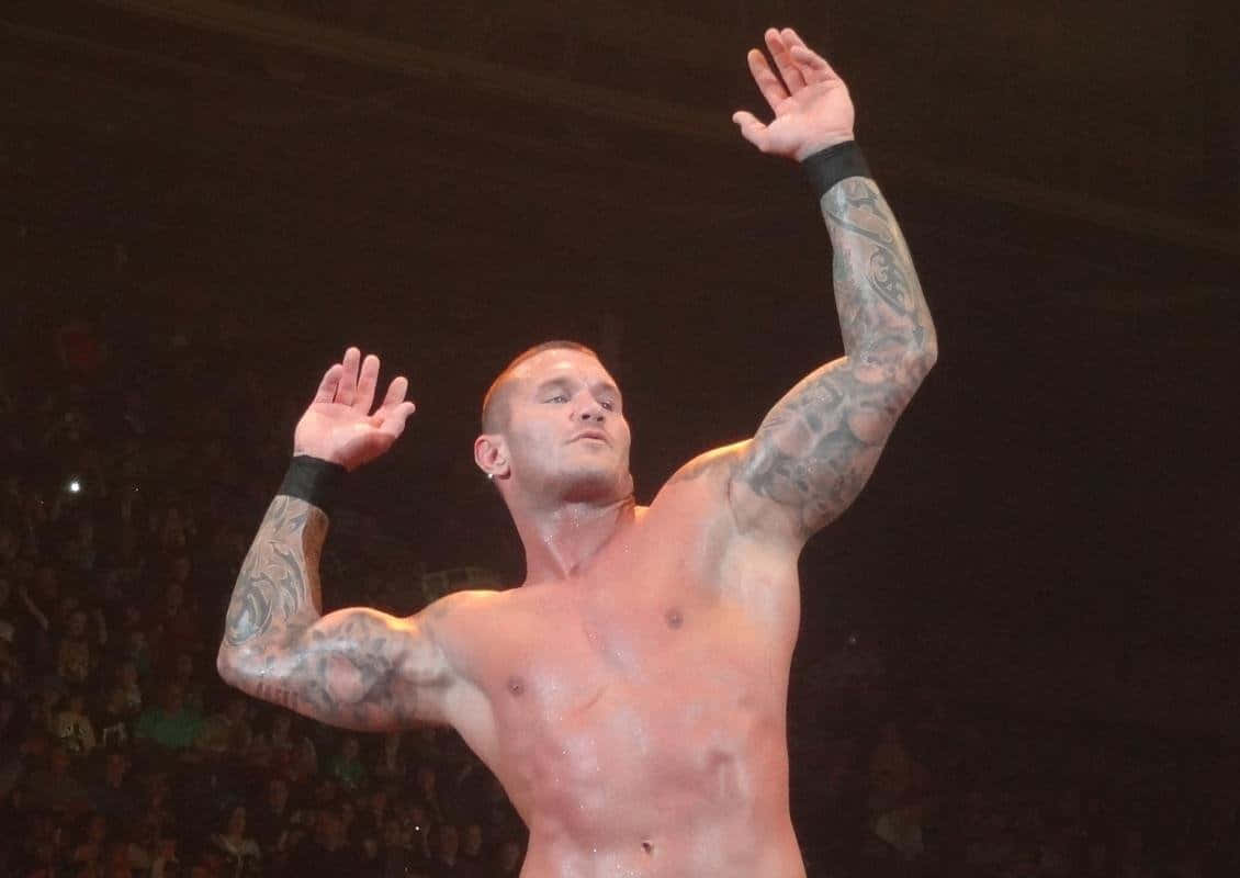 Randy Orton, professional wrestlers and WWE Superstar Wallpaper