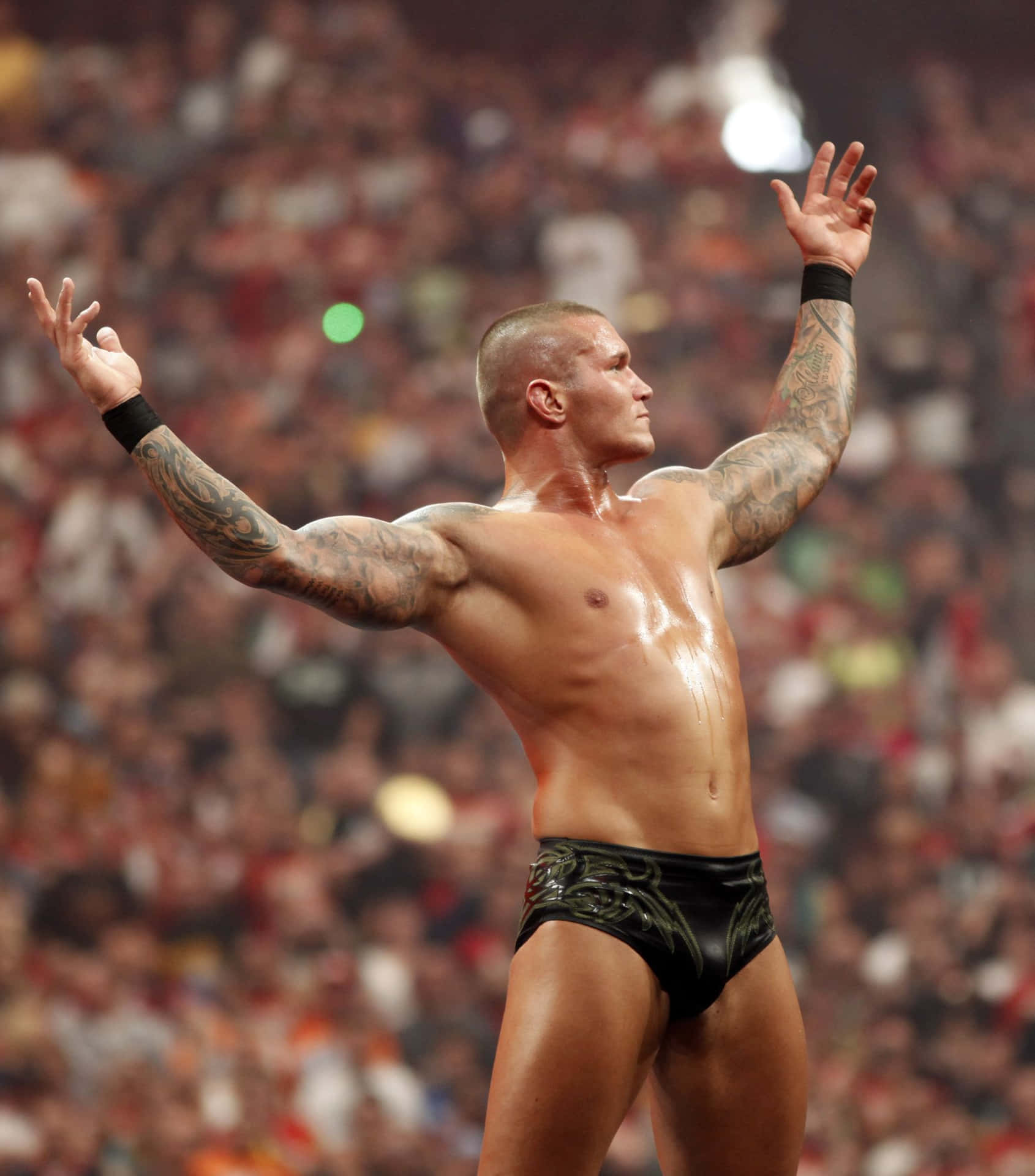 Viper, Randy Orton, stirrer ned imod hans modstander Wallpaper