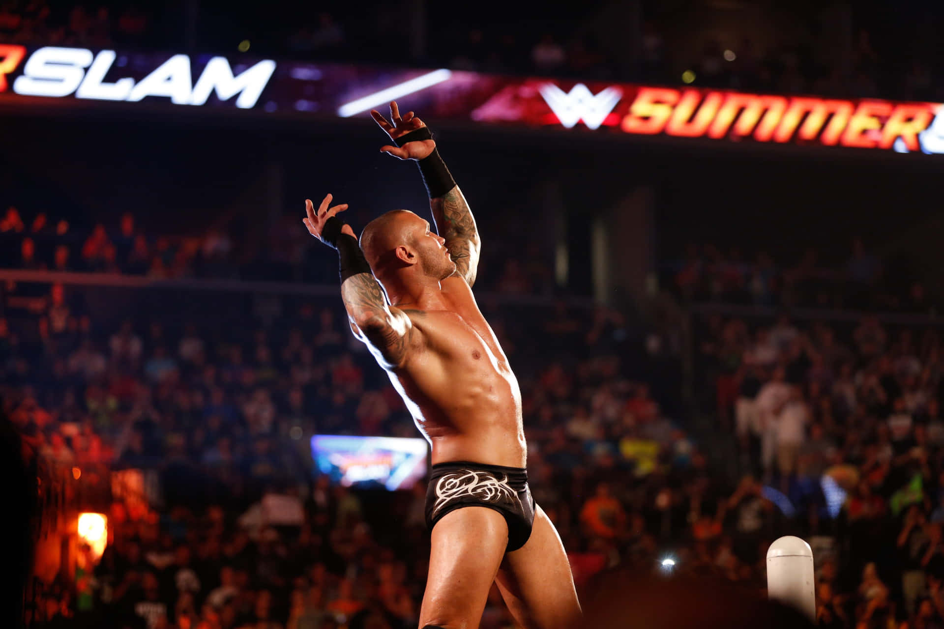 SANTA CLARA - MARCH 29: Close-up Of WWE Wrestler Randy Orton Does Signature  Pose With Arms Held In The Air On Turnbuckle Before Match At Wrestlemania  31 At The Levi's Stadium In
