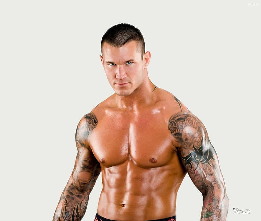 "Randy Orton gets ready to deliver a devastating RKO!" Wallpaper