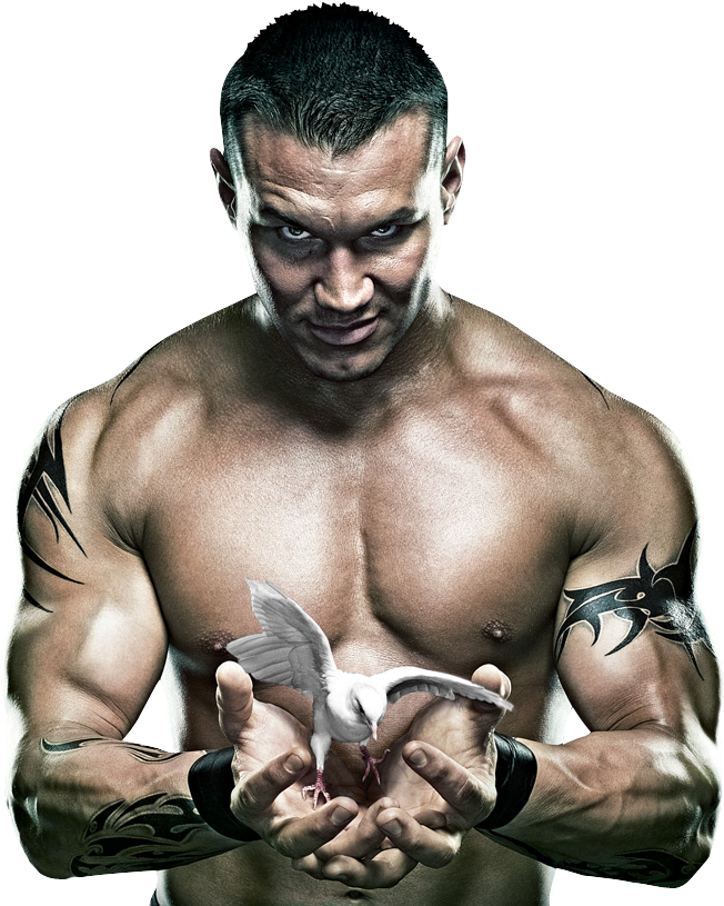 Randy Orton Dove Power Pose PNG