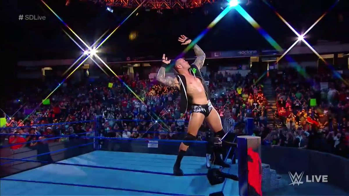 En wrestler hopper op i luften foran et publikum Wallpaper