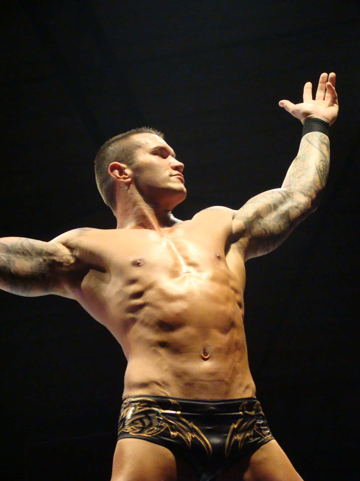 Luchadorde La Wwe Randy Orton Fondo de pantalla