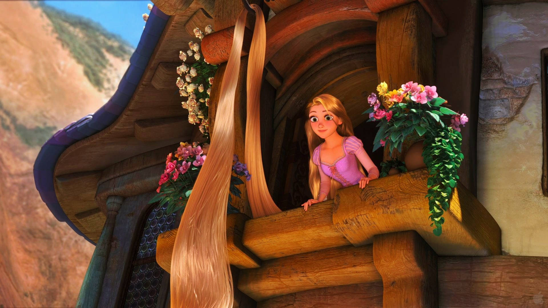 Rapunzel patiently awaits her rescue at her tower window. Wallpaper