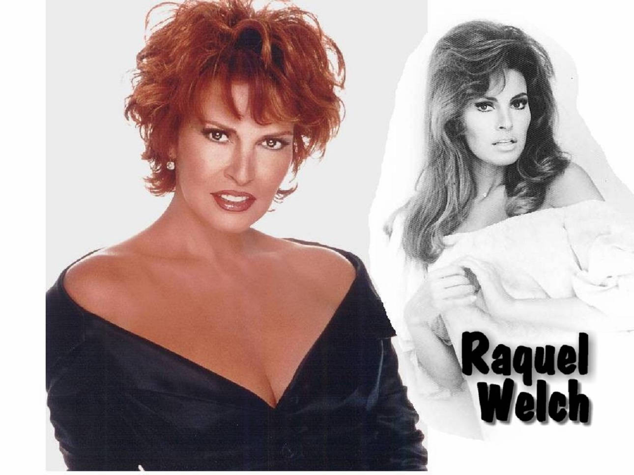 Download Raquel Welch Wallpaper Helt Gratis, [100+] Raquel Welch ...