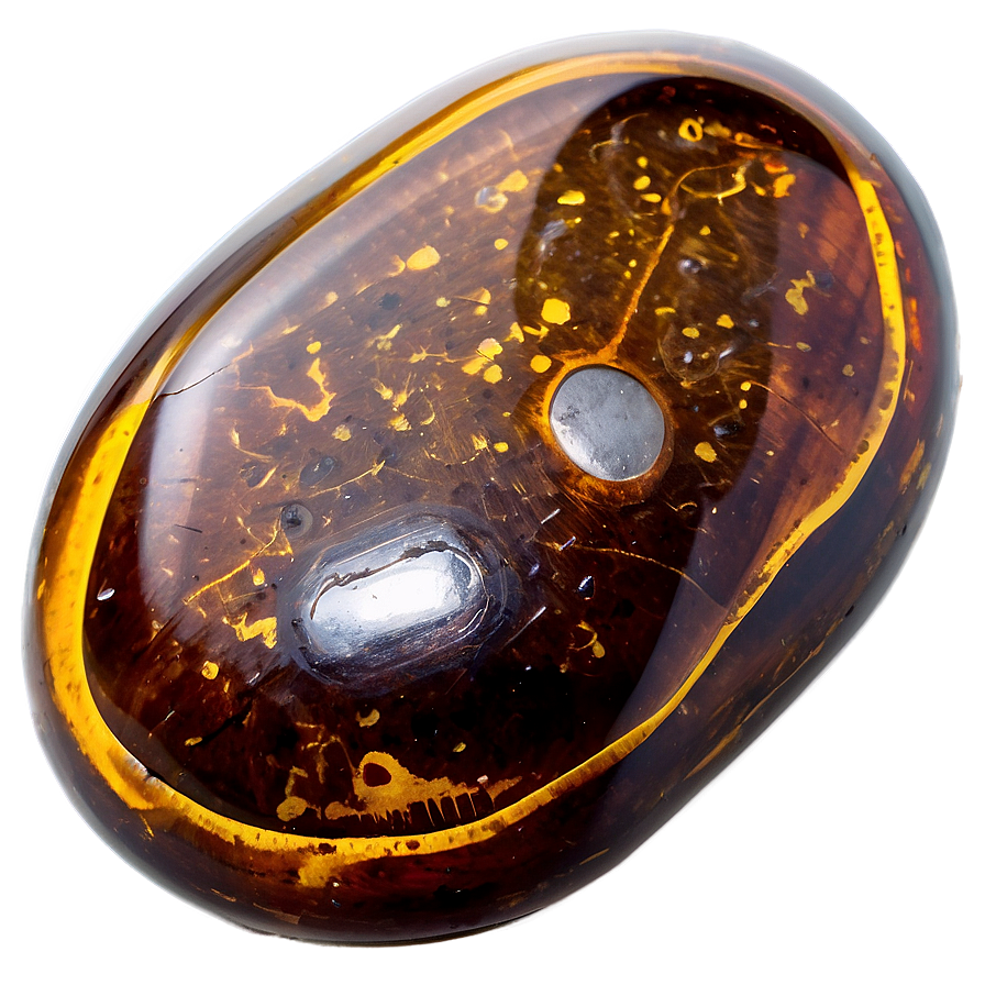 Download Rare Amber Fossil Png Ewm51 