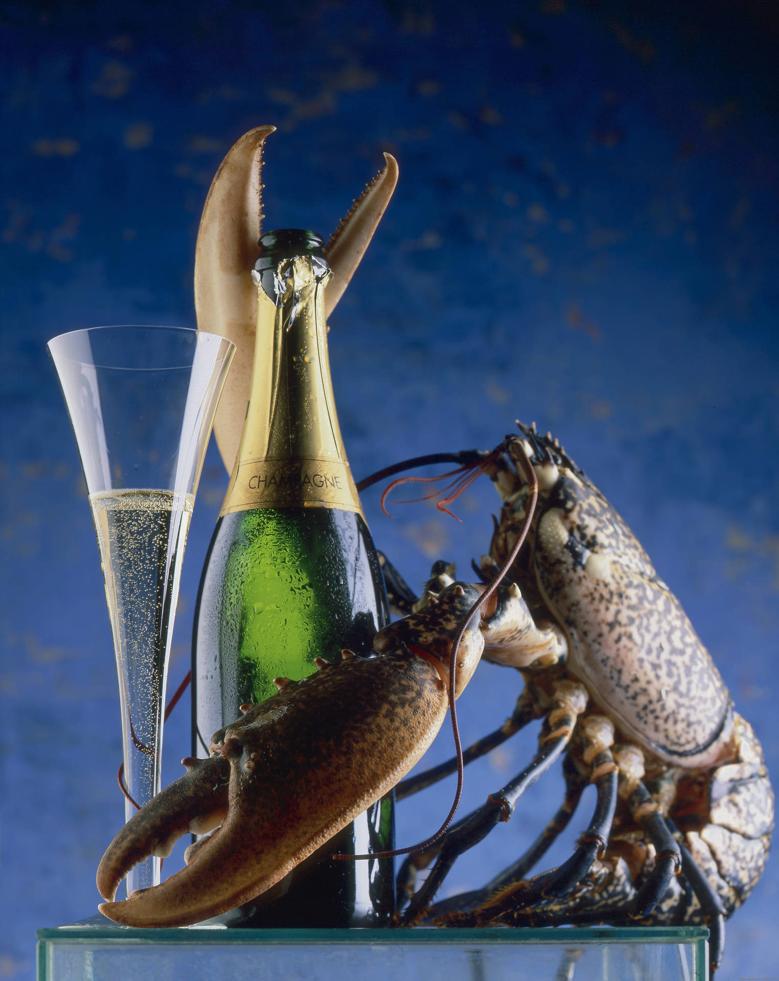 Rare Calico Lobster With Champagne
