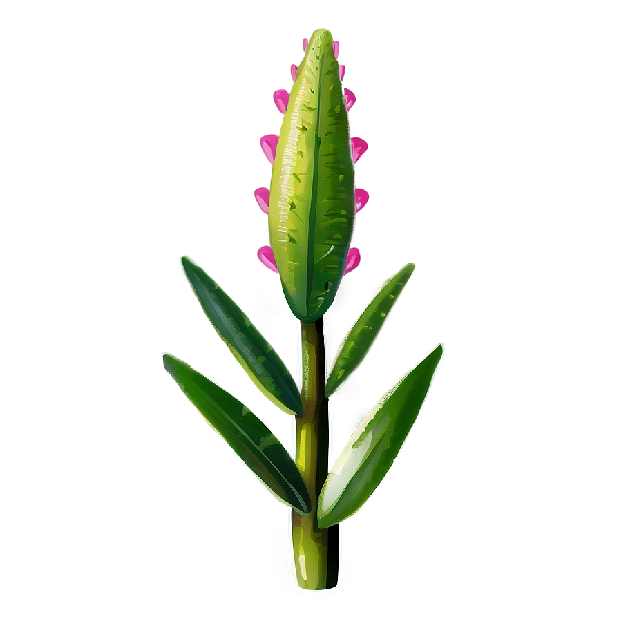 Rare Plant Png 05032024 PNG