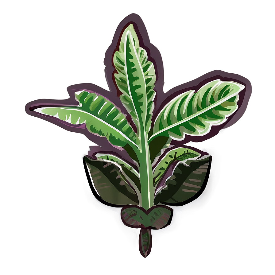 Rare Plant Png 32 PNG