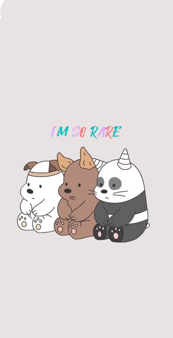 Rare We Bare Bears Aesthetic Picture