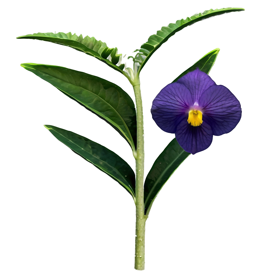 Rare Wildflowers Discovery Png Akx75 PNG