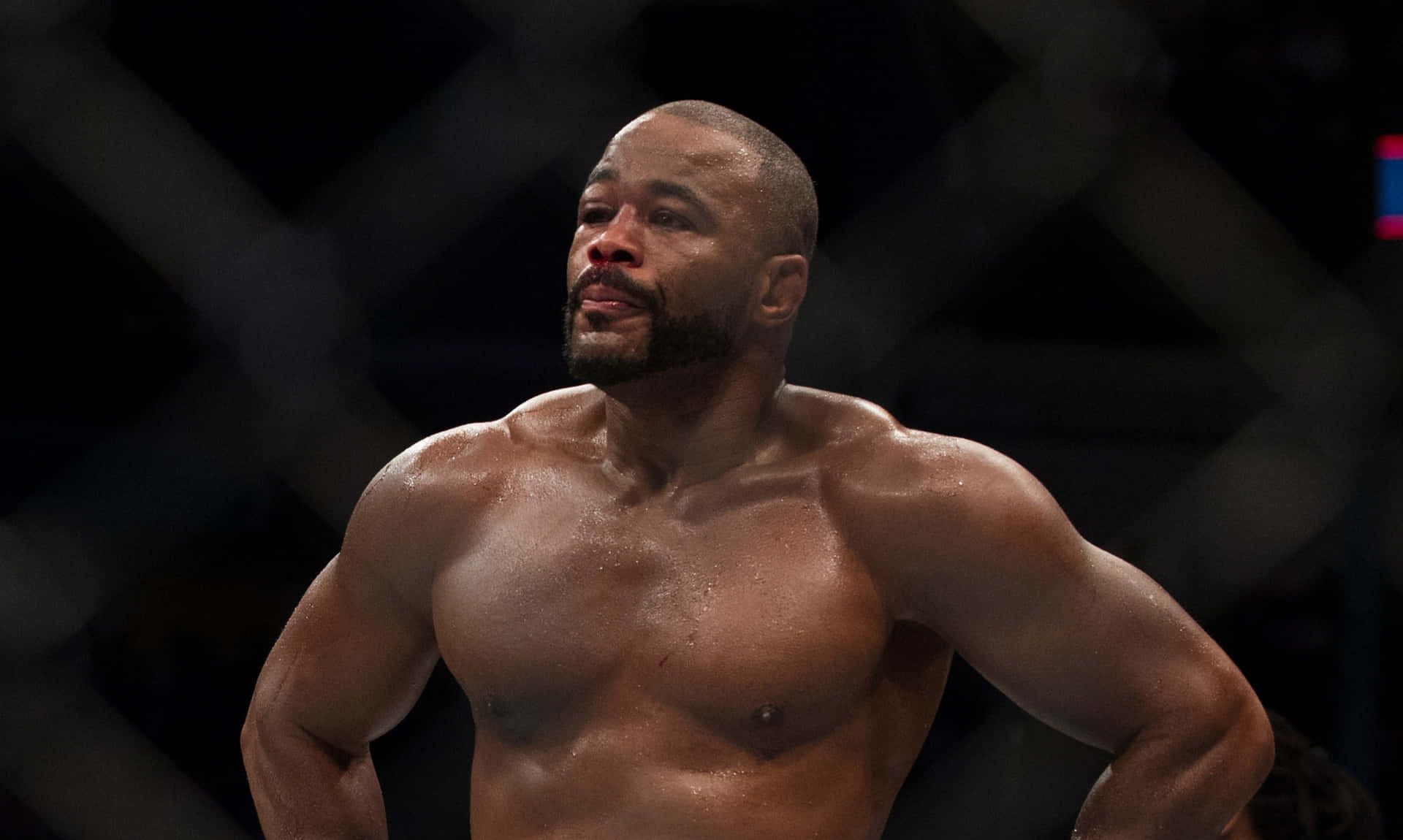 Unyielding Determination: A Bruised Rashad Evans After the Fight Wallpaper
