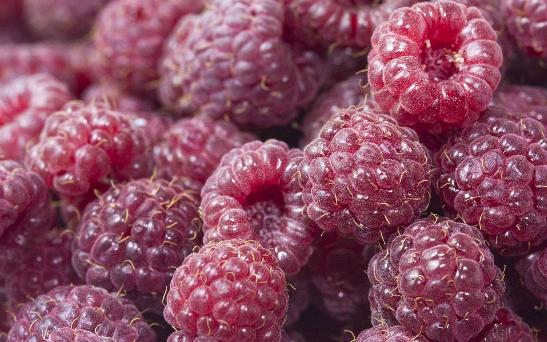 Raspberry Nutritious Food Wallpaper