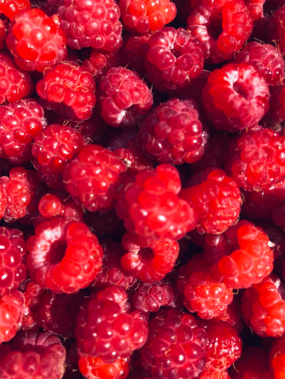 Closeup of a Bowl of Fresh Raspberries