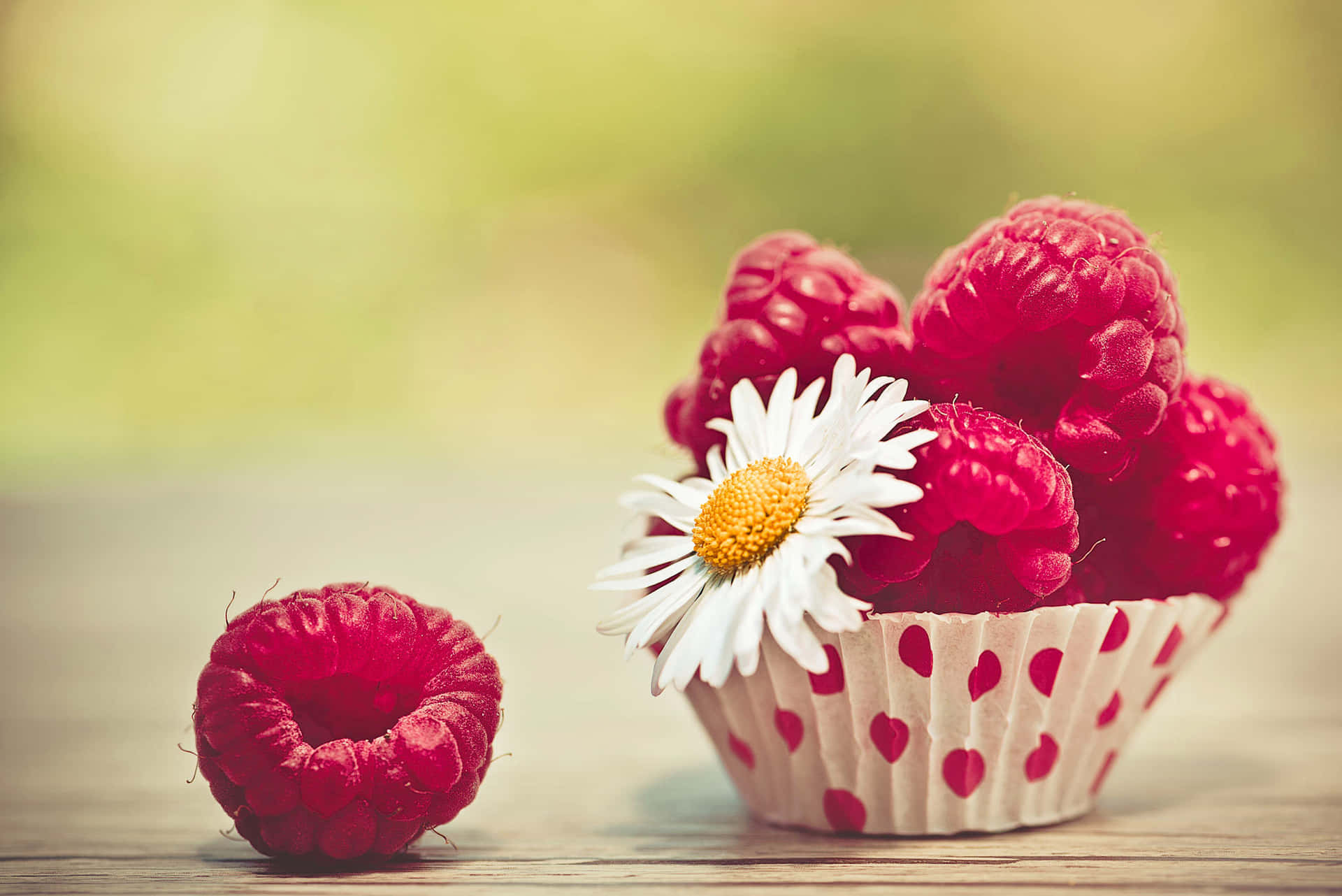 Raspberries And Daisies In A Cup