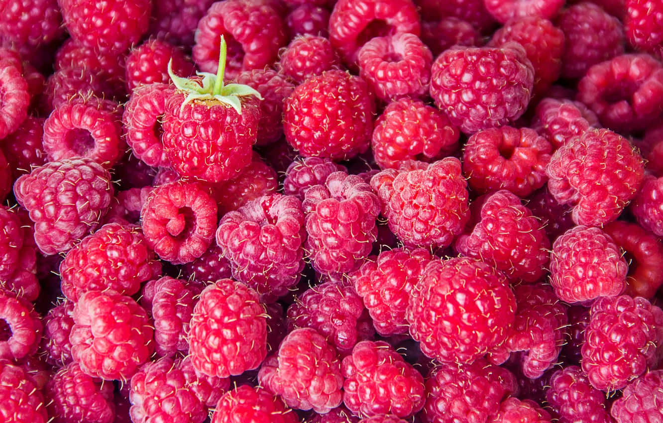 A Delicious and Juicy Red Raspberry