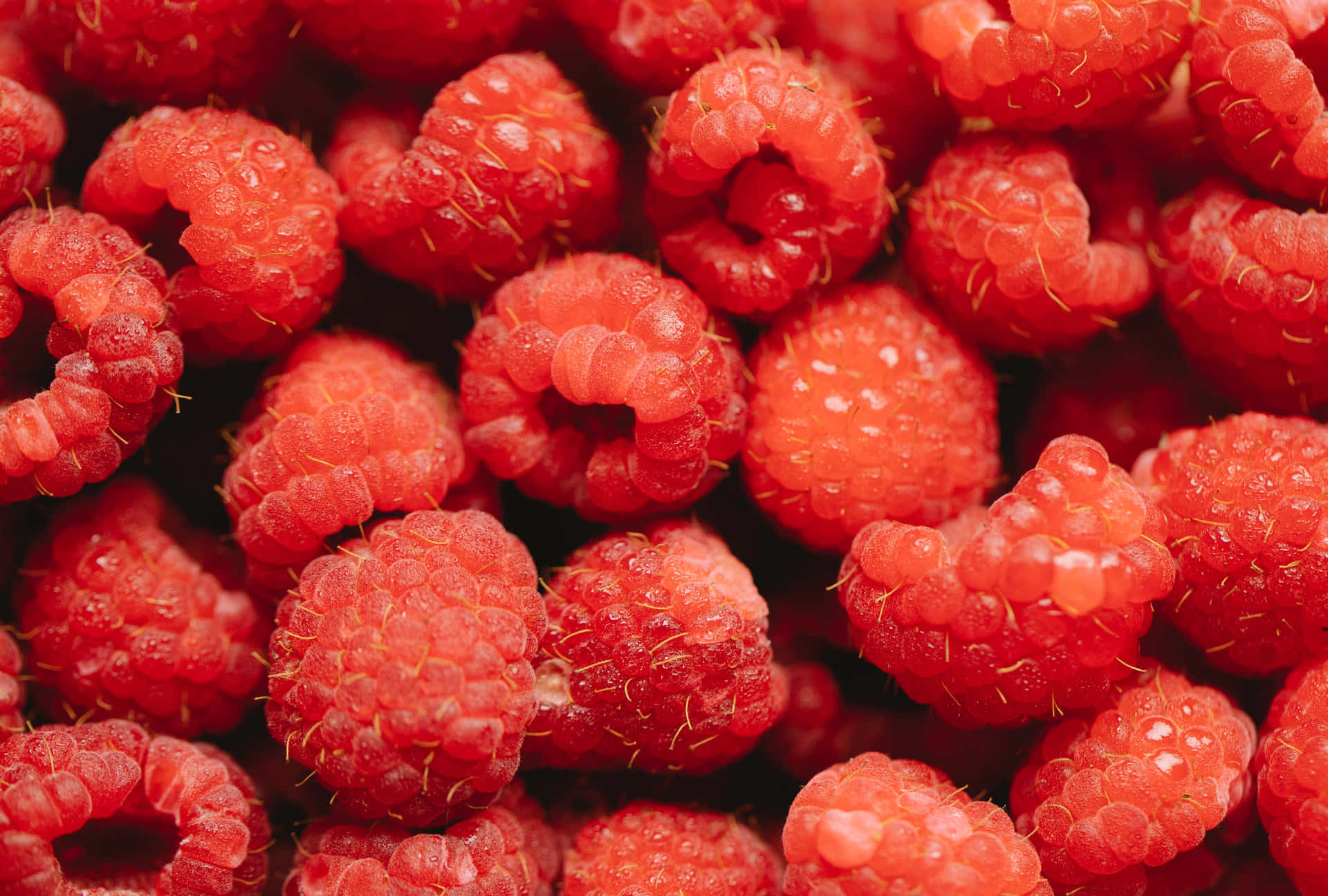 Sweet and Delicious Raspberries