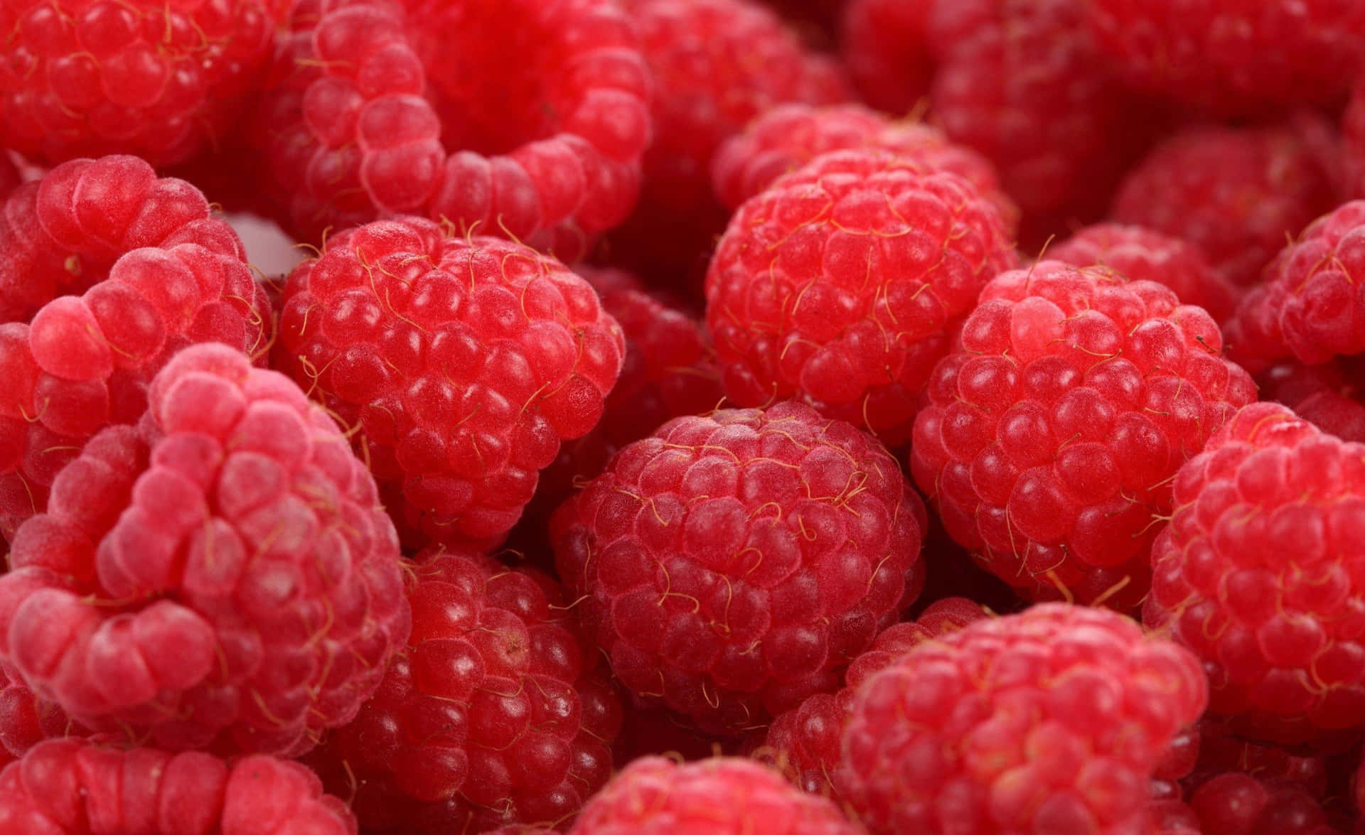 Raspberries Are Arranged In A Pile