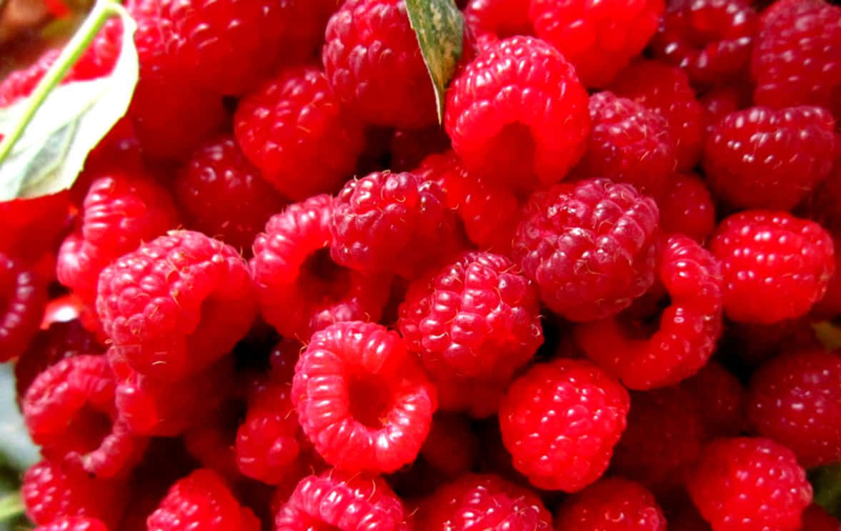 Raspberries Are Arranged In A Pile