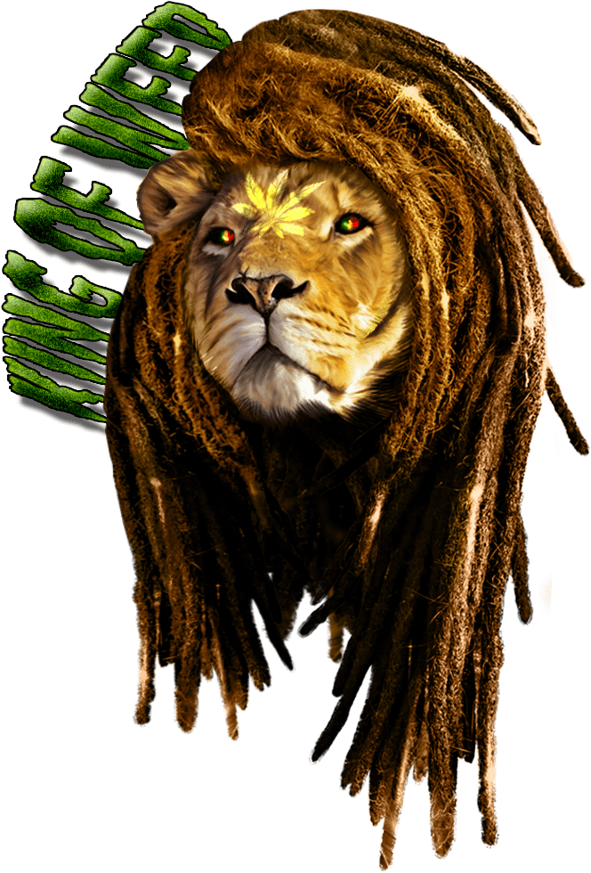 Rasta Lion Artwork PNG