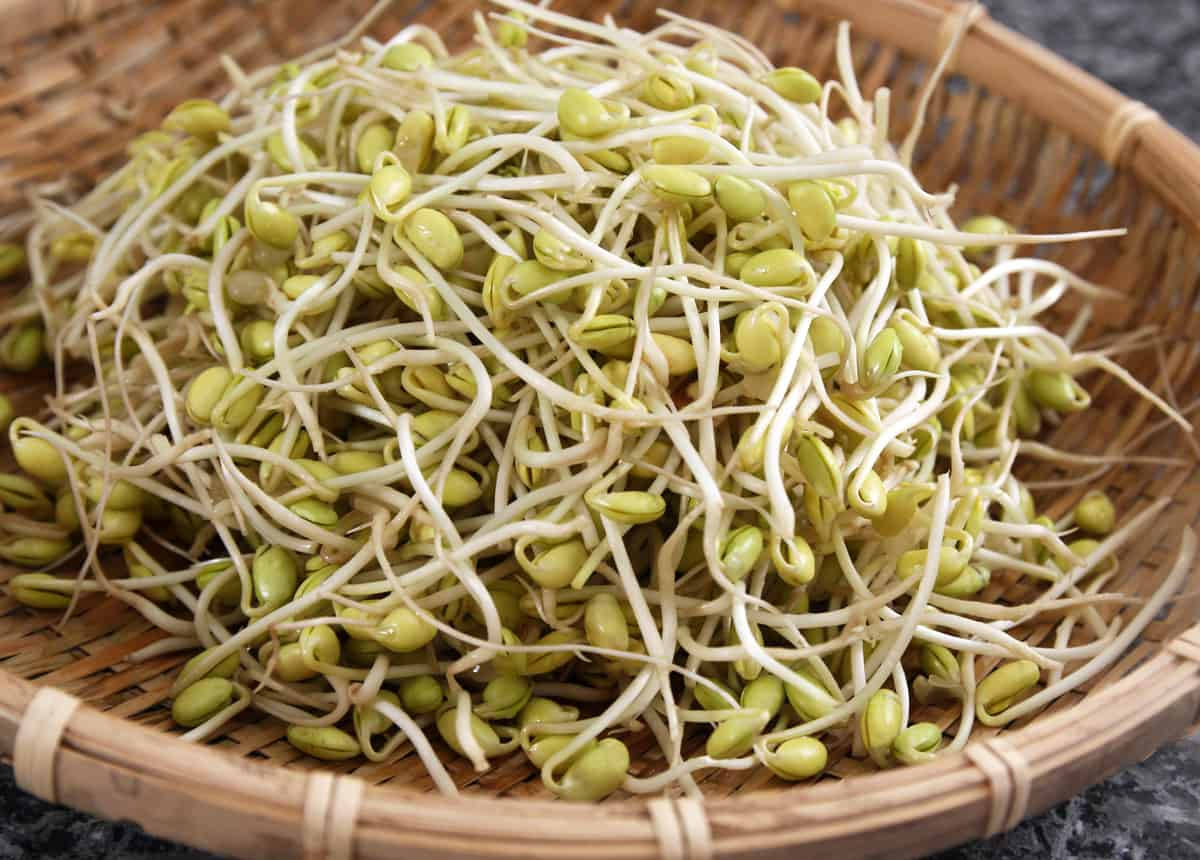 Rattan Basket Mung Bean Sprouts Vegetable Picture