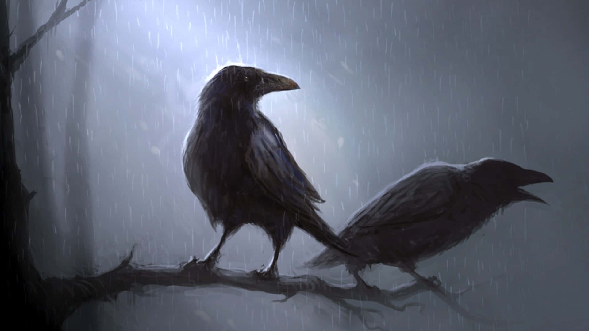 Two Crows Sitting On A Branch In The Rain