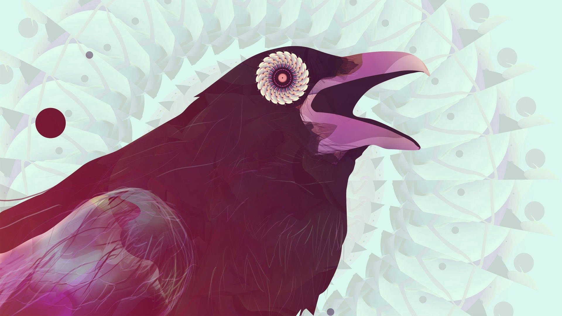 Raven Eye Graphic HD Wallpaper