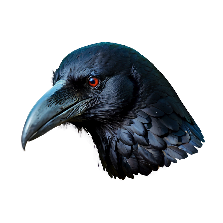 Raven Head Png Ywh85 PNG