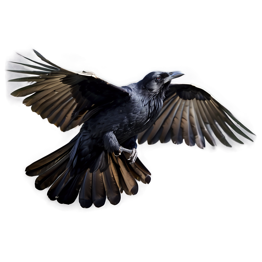 Raven In Flight Png 05062024 PNG