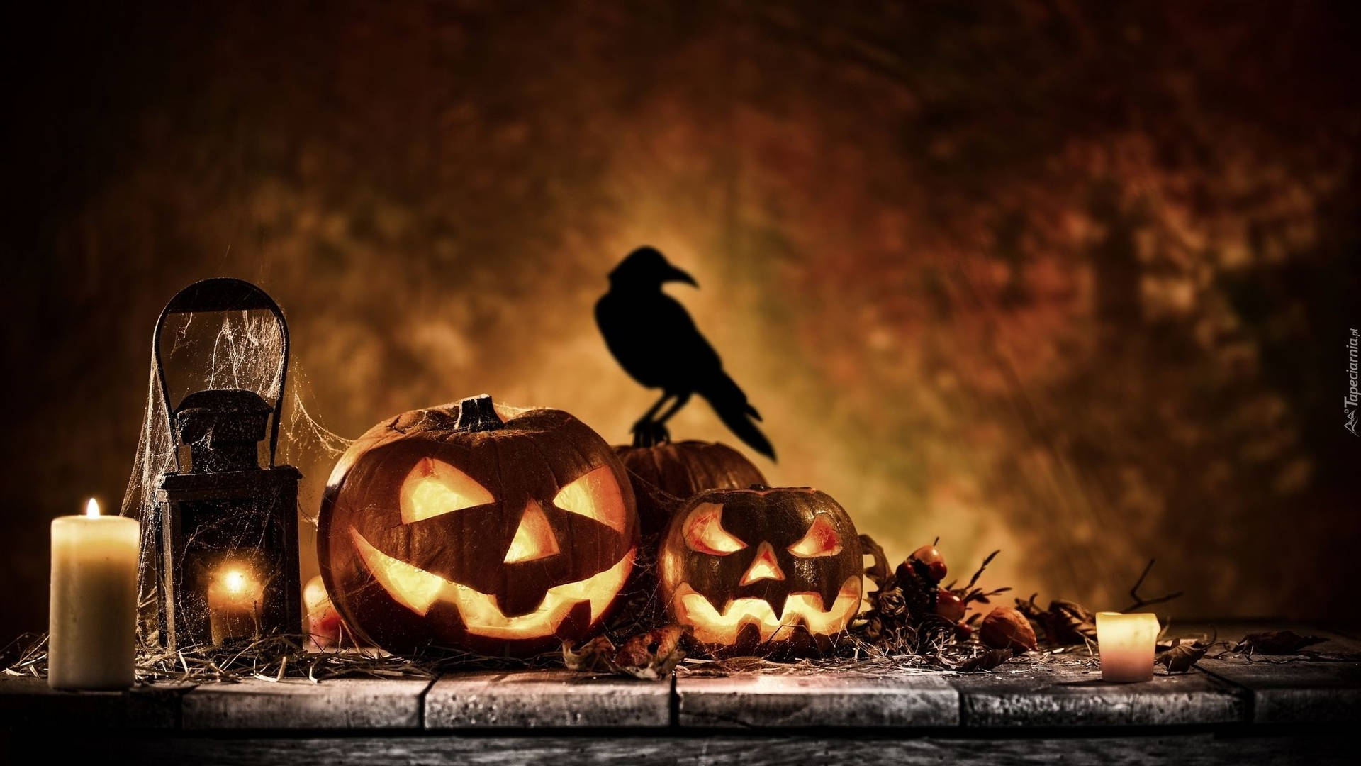 Raven On Pumpkin Halloween Aesthetic Wallpaper