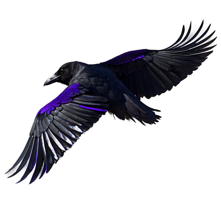 Raven Profile View Png Kww49 PNG