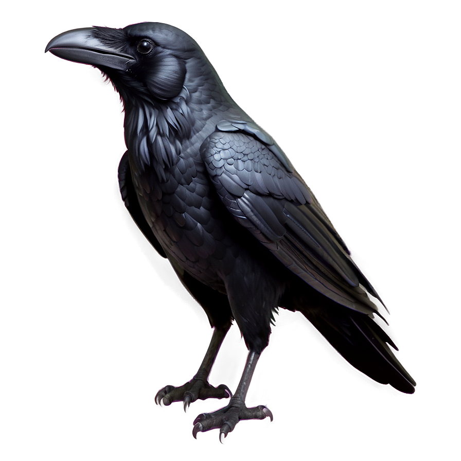 Raven Sketch Png 05062024 PNG