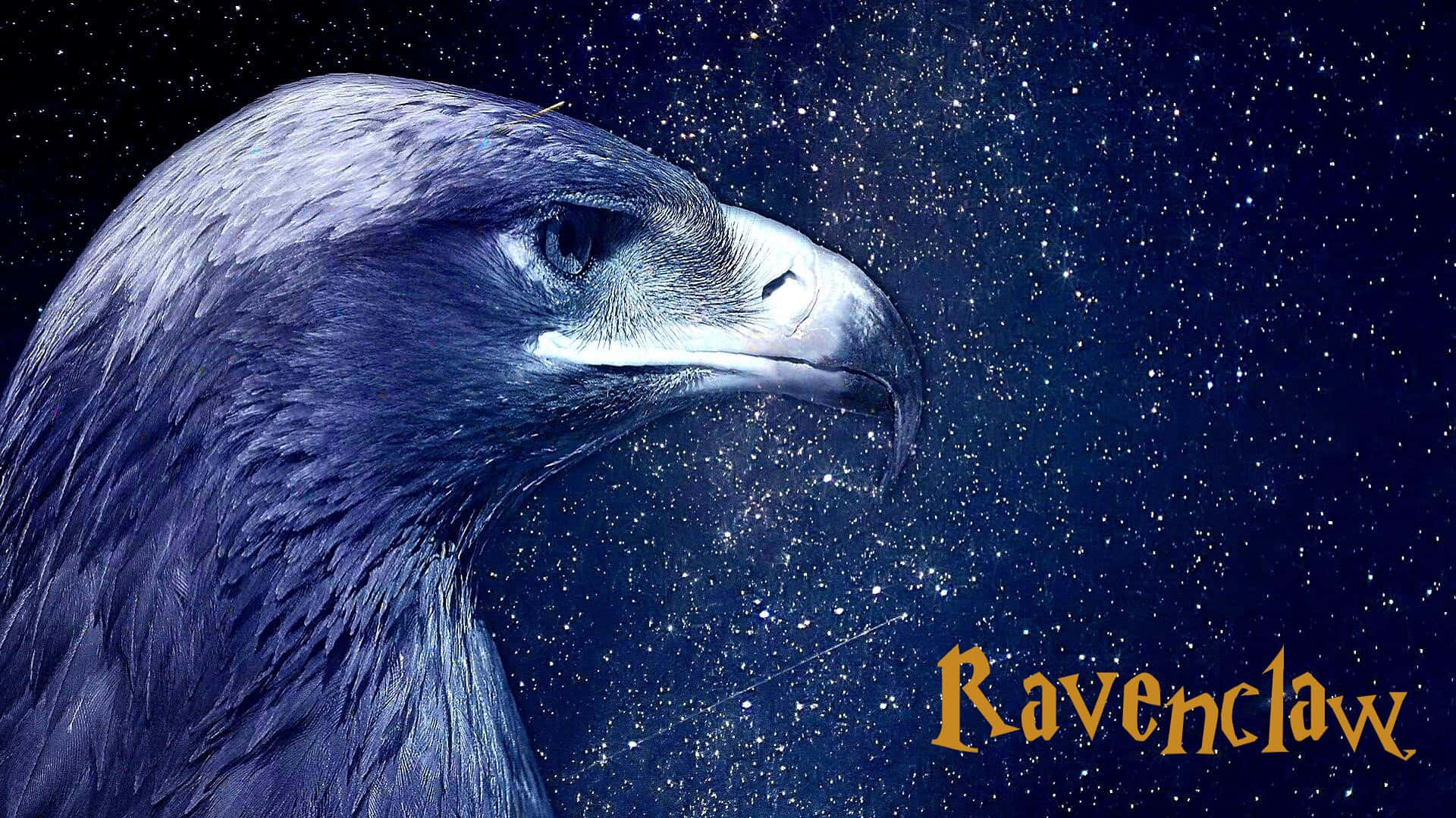 Ziehdeine Ravenclaw-robe An Und Sei Mutig!