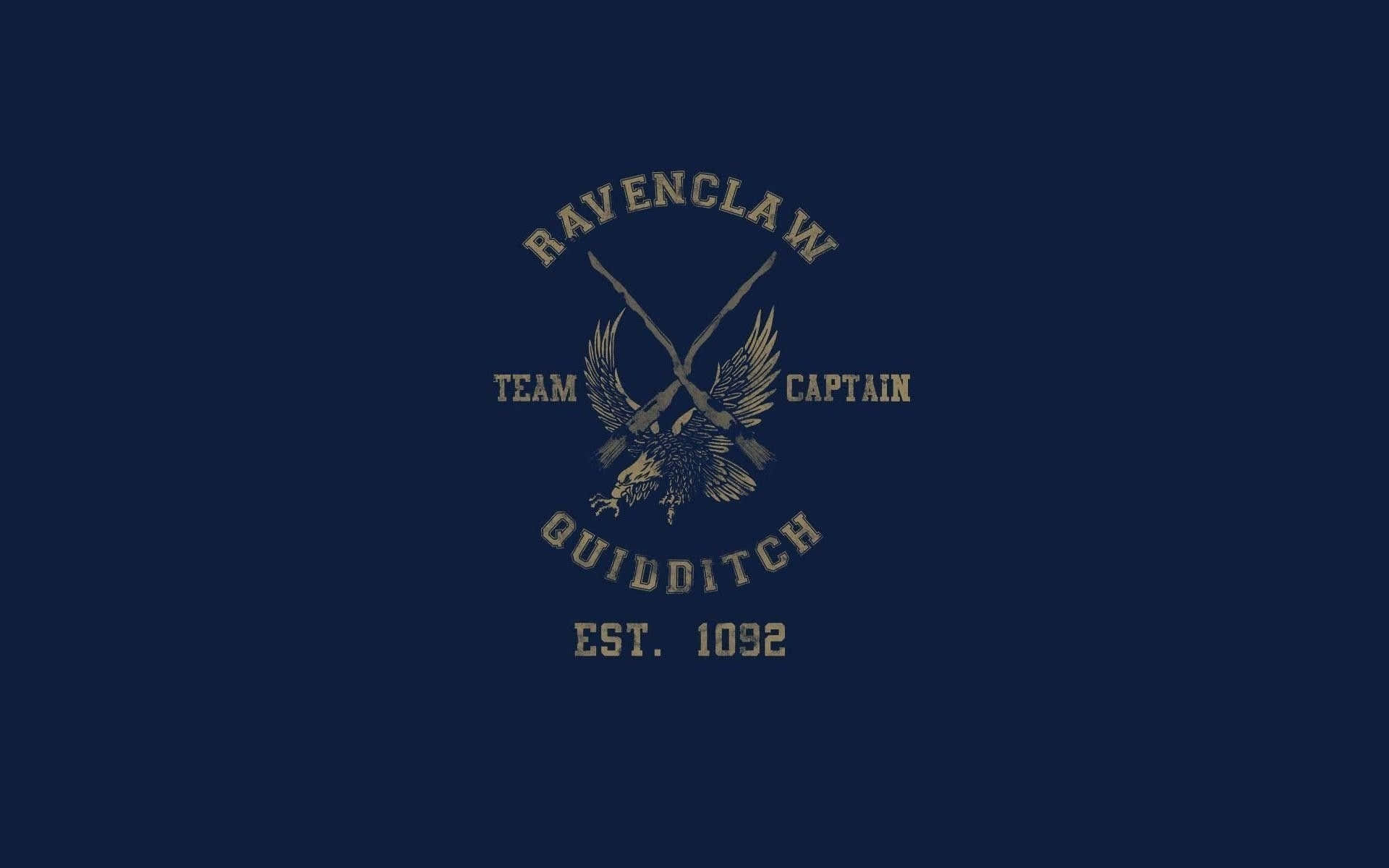 Outfit with Ravenclaw House Colours Wallpaper
