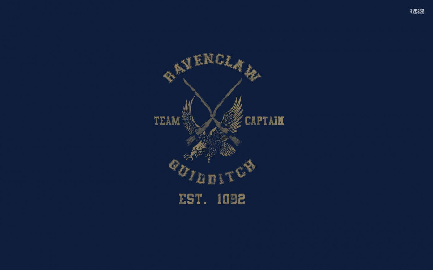 Ravenclaw Quidditch Harry Potter iPad Wallpaper