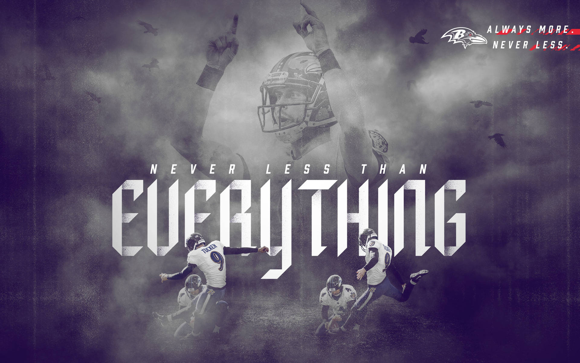 The Baltimore Ravens are Ready to Take Flight Wallpaper