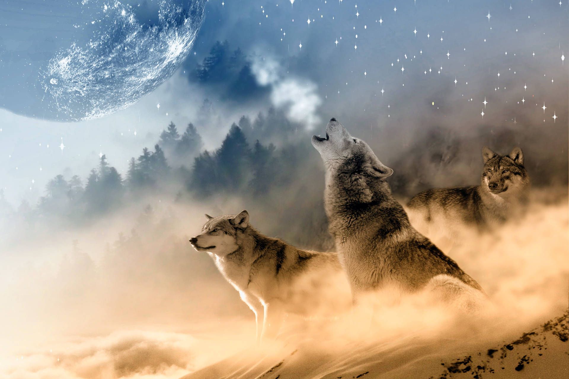 Zauberhafterwolf Desktop Wallpaper