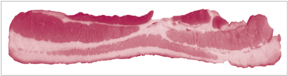Raw Bacon Strip PNG