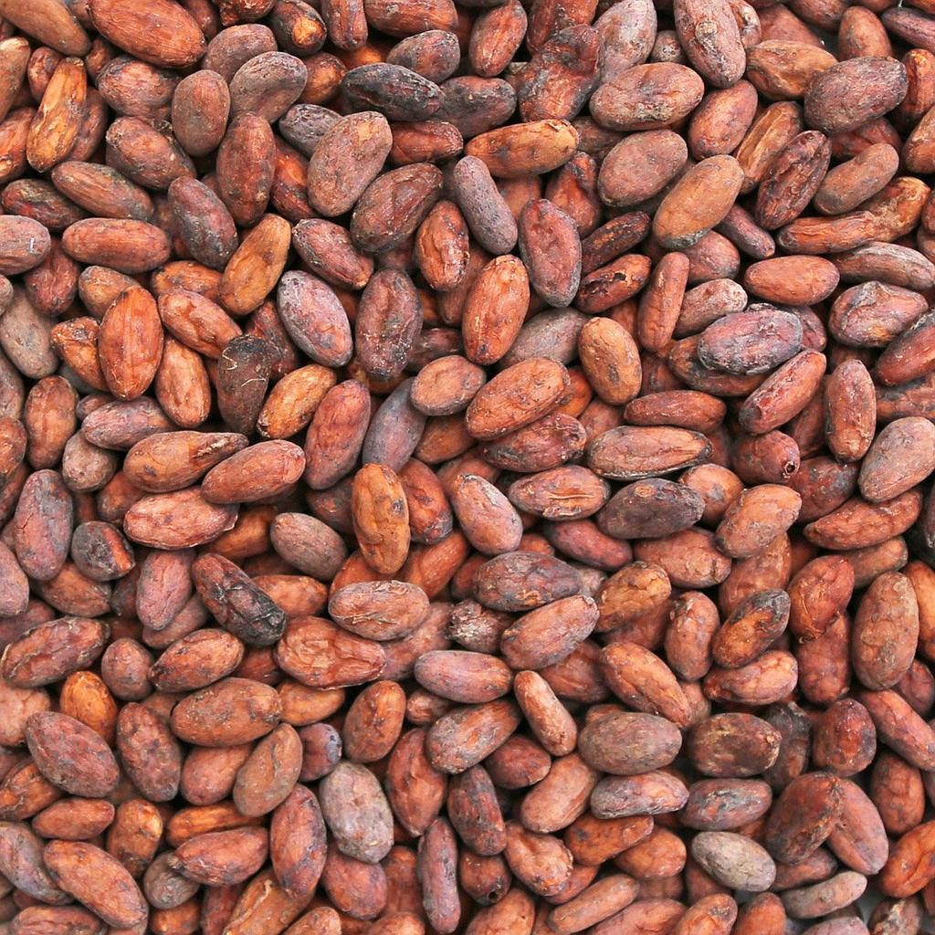 Raw Cacao Beans Wallpaper